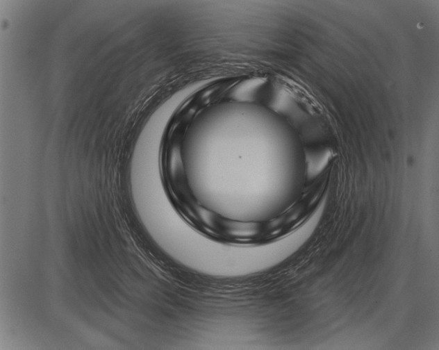 X0000086100750200704091352