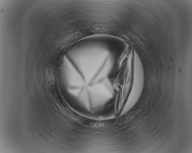 X0000086100751200704091352