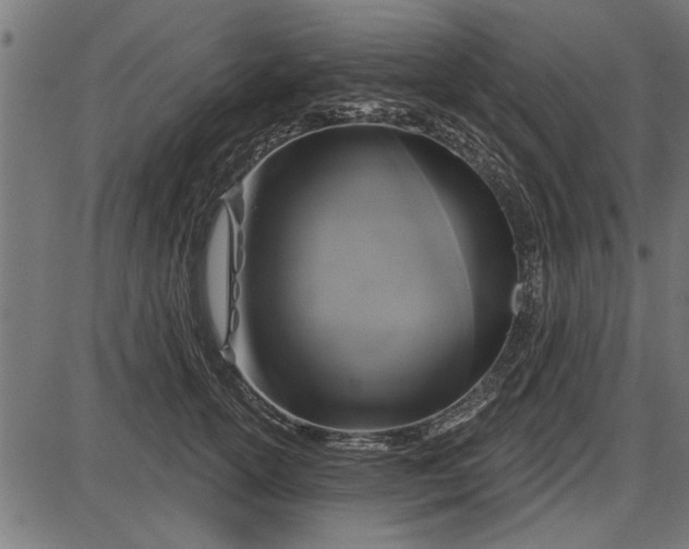 X0000086100754200704091352