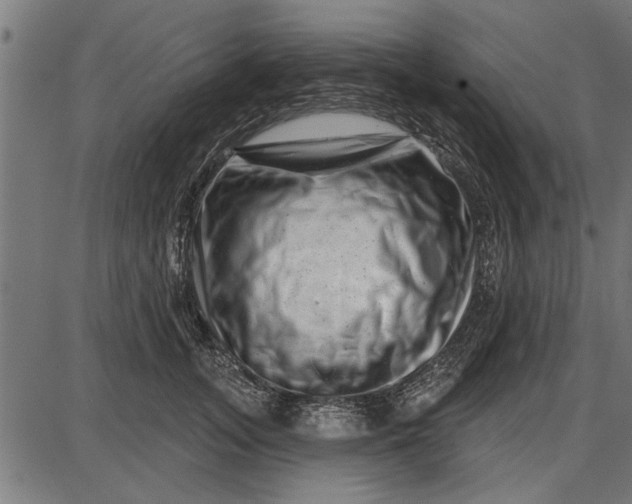 X0000086100755200704091352