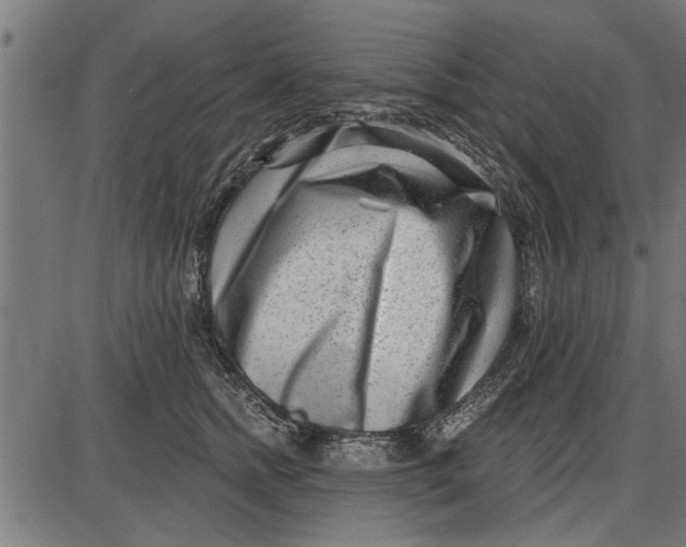 X0000086100758200704091352