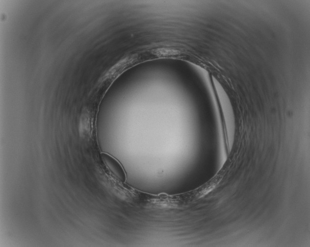 X0000086100763200704091352