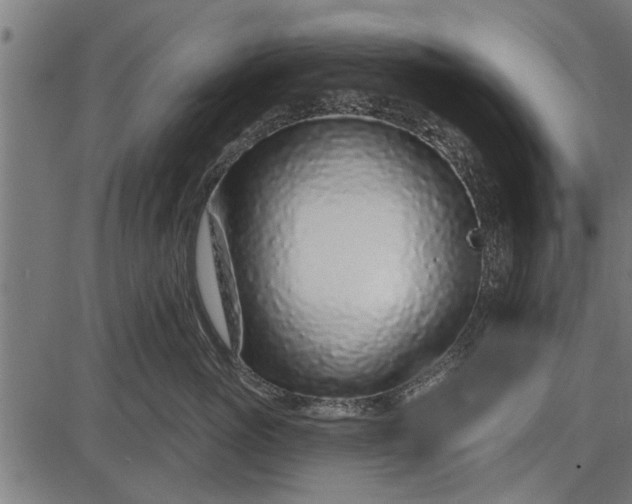 X0000086100765200704091352