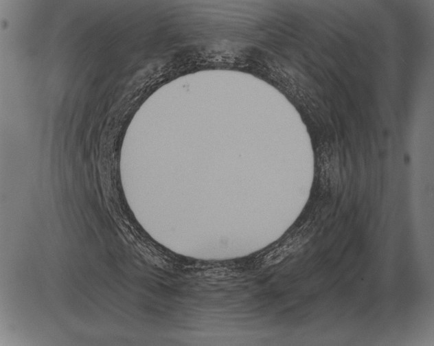 X0000086100769200704091351