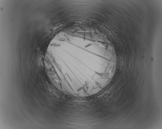 X0000086100770200704091351