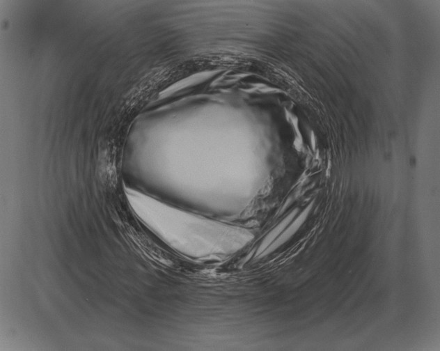 X0000086100771200704091351