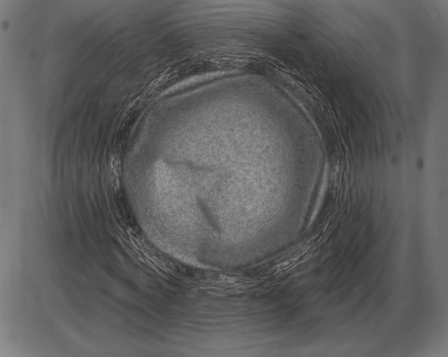 X0000086100772200704091351