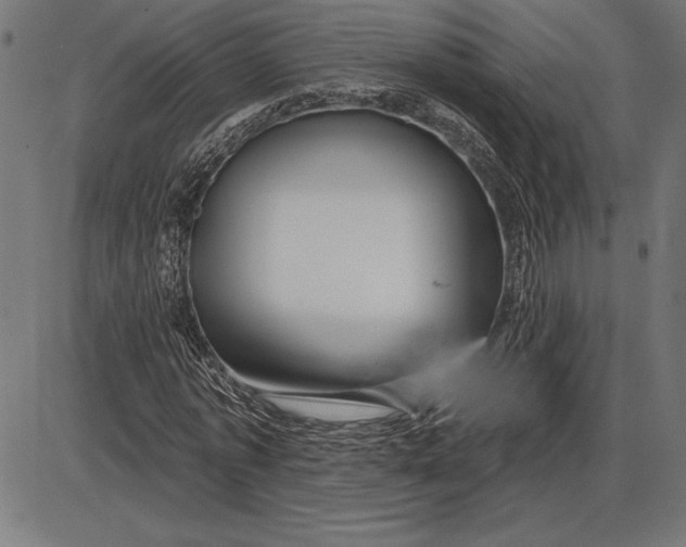 X0000086100773200704091351