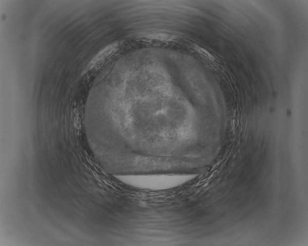X0000086100774200704091351