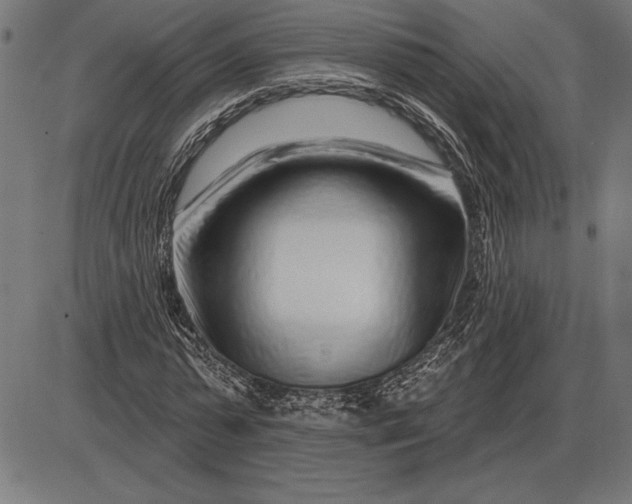 X0000086100775200704091351