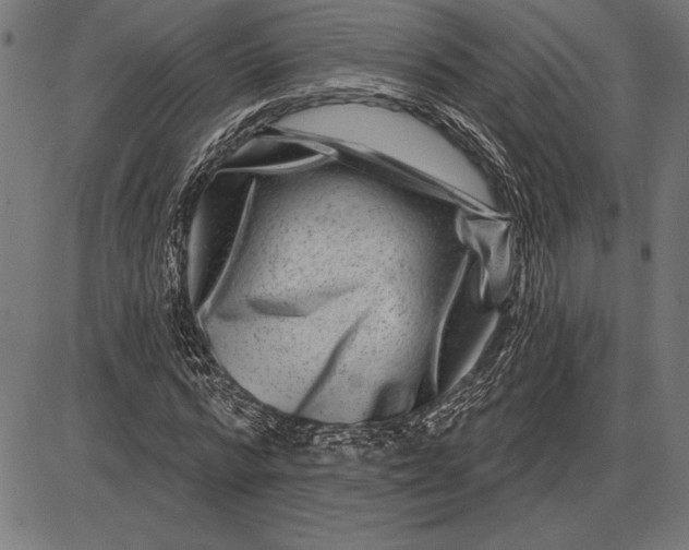 X0000086100776200704091351