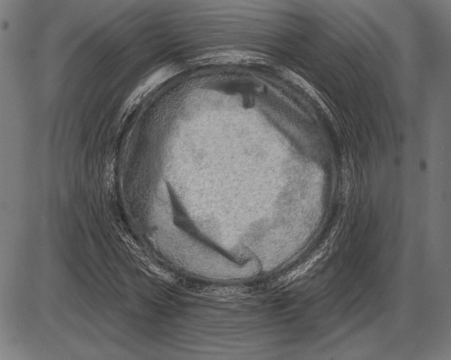 X0000086100778200704091351