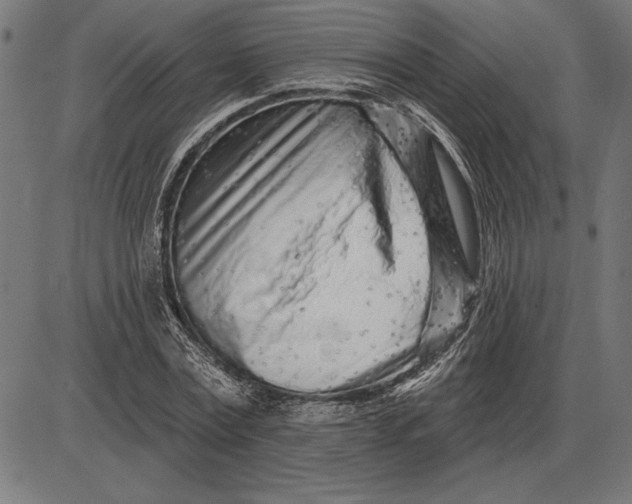 X0000086100779200704091351