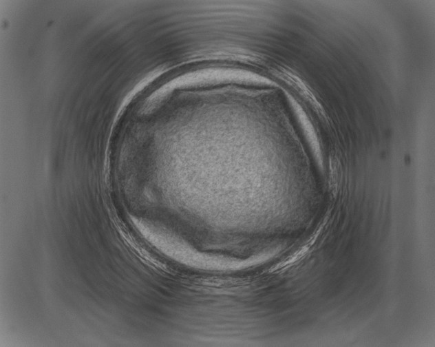 X0000086100780200704091351