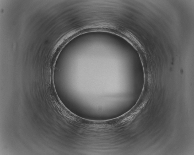X0000086100781200704091351