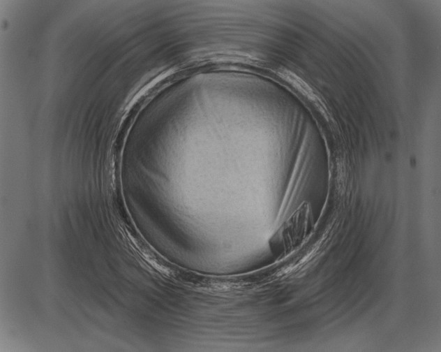 X0000086100782200704091351