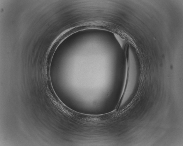 X0000086100784200704091351