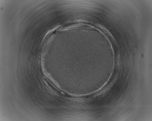 X0000086100785200704091351