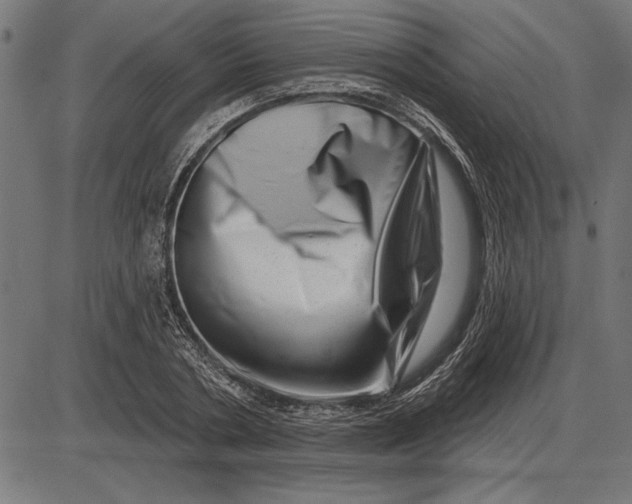 X0000086100786200704091351