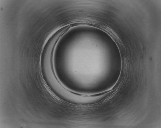 X0000086100788200704091351
