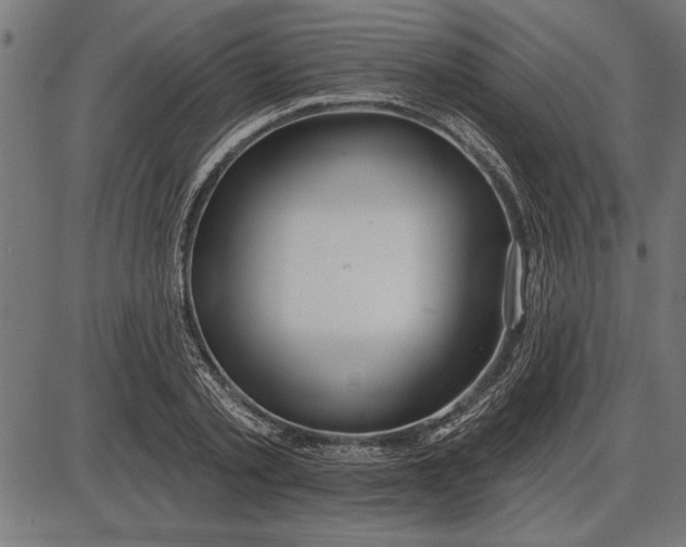 X0000086100789200704091351