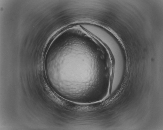 X0000086100791200704091351