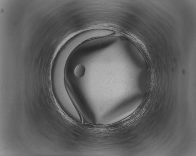 X0000086100792200704091351