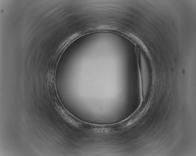 X0000086100793200704091351