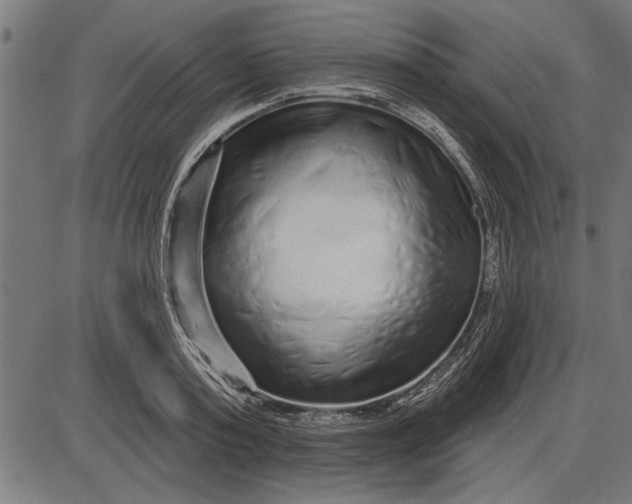 X0000086100795200704091351