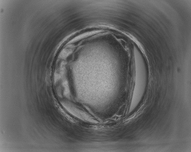 X0000086100799200704091351