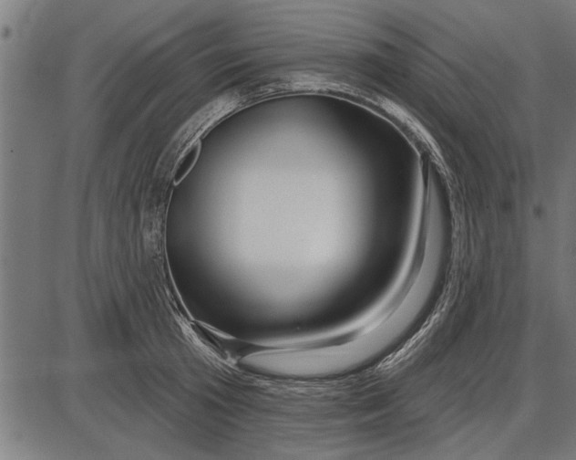 X0000086100801200704091351