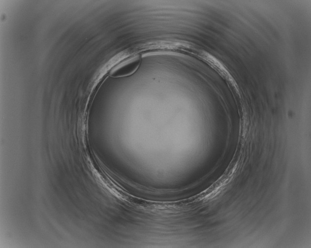 X0000086100802200704091351
