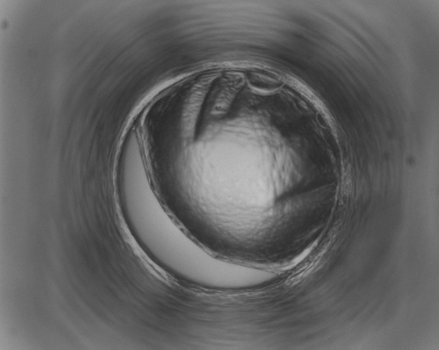 X0000086100803200704091351