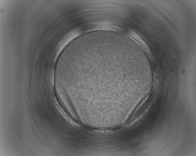 X0000086100804200704091351