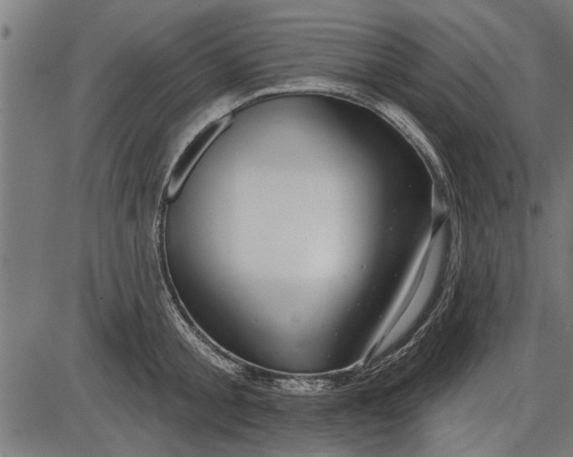 X0000086100805200704091351