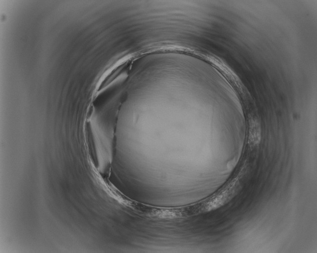 X0000086100806200704091351