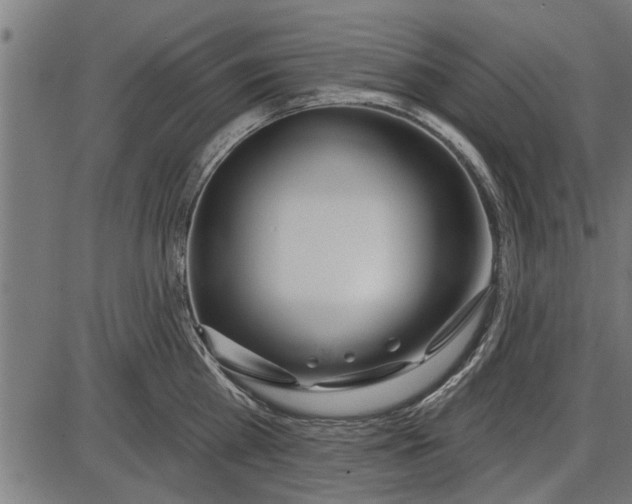 X0000086100809200704091351