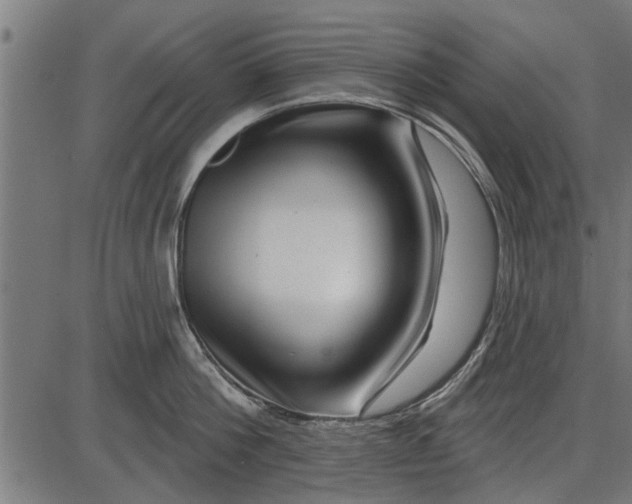 X0000086100812200704091351