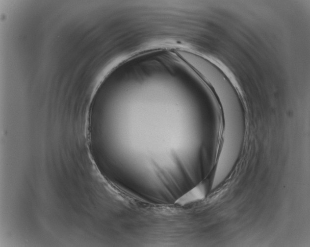 X0000086100815200704091351