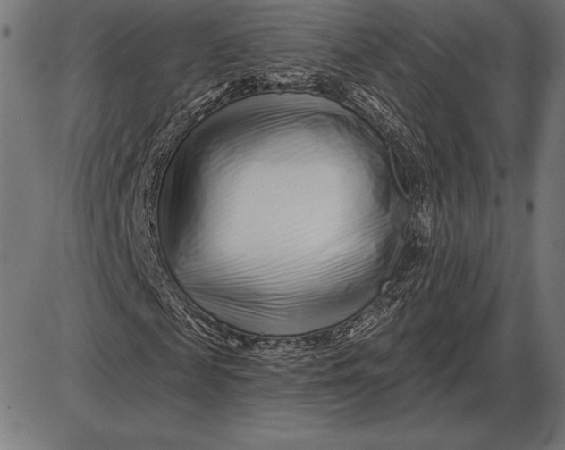 X0000086100817200704091350