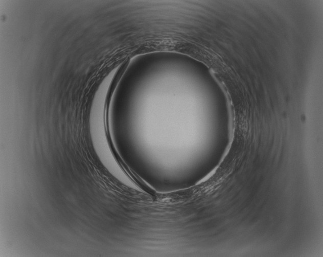 X0000086100818200704091350
