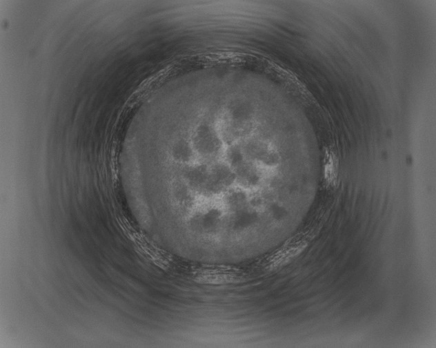 X0000086100819200704091350