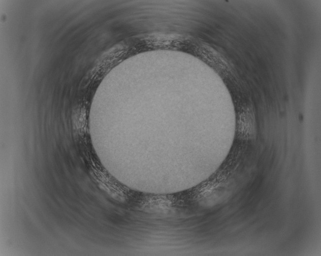 X0000086100820200704091350