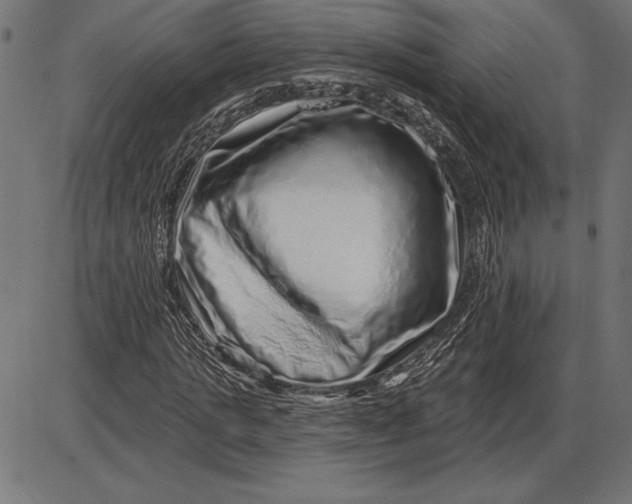 X0000086100821200704091350