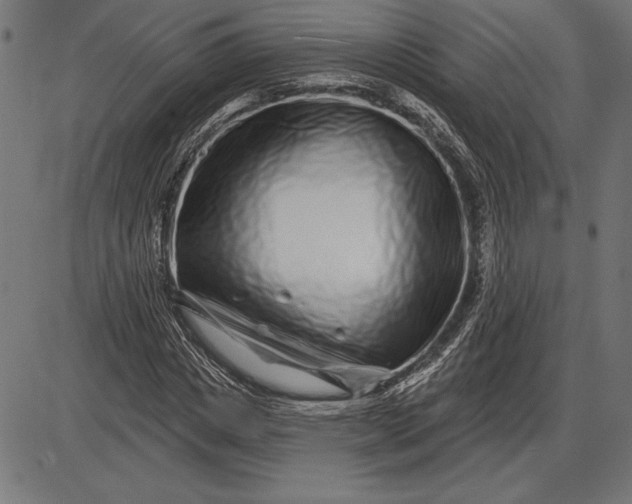 X0000086100825200704091350