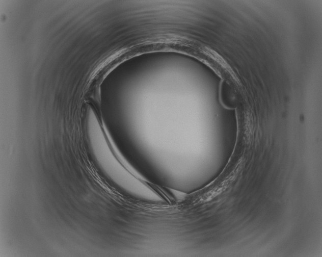 X0000086100826200704091350