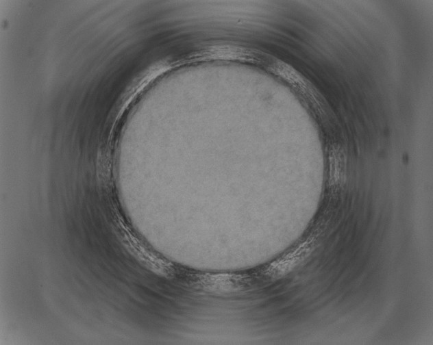X0000086100828200704091350