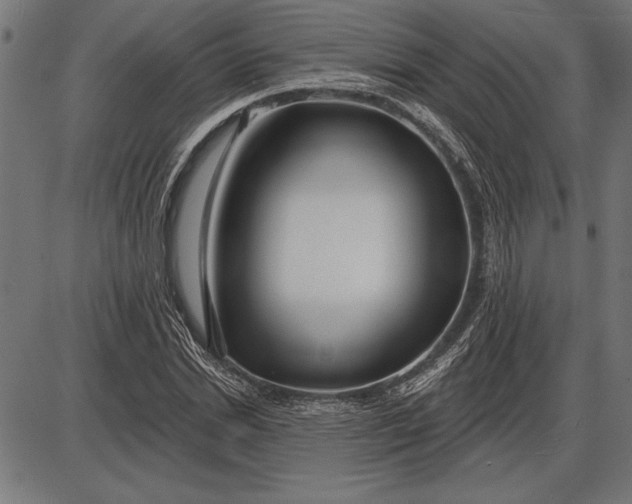 X0000086100830200704091350