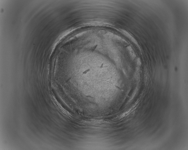 X0000086100831200704091350