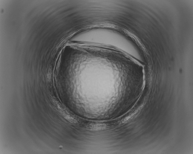 X0000086100833200704091350